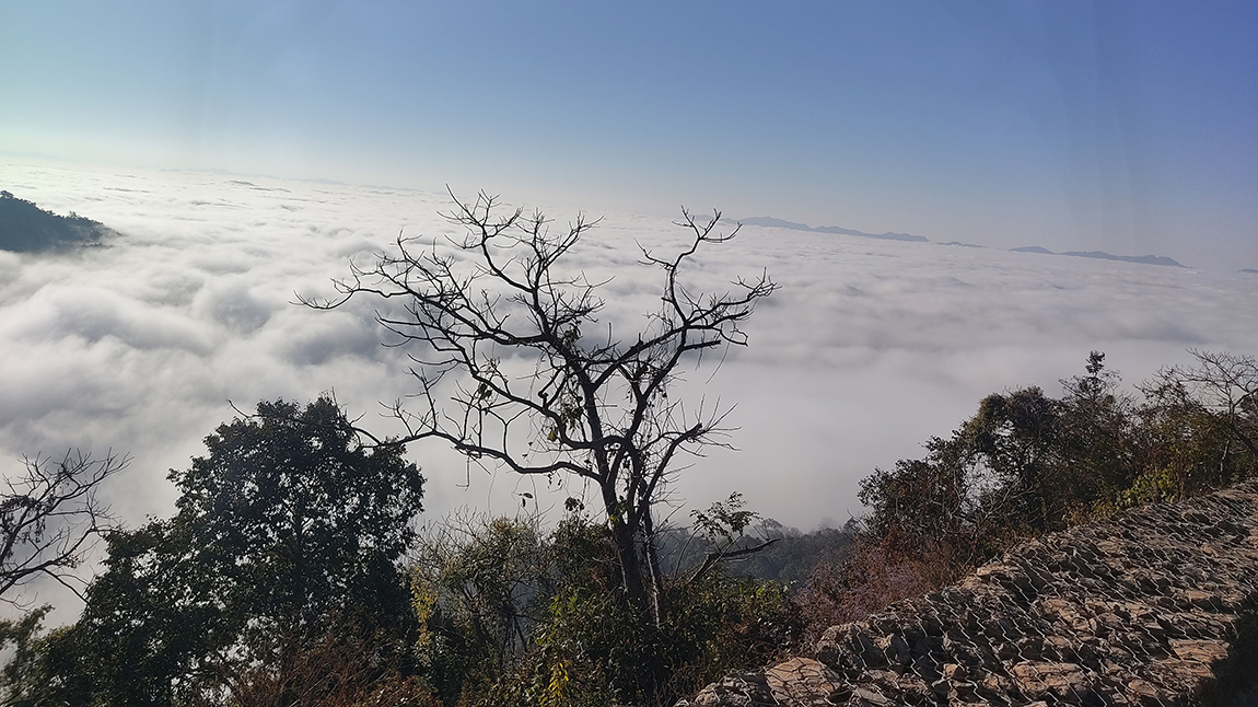 आजका तस्बिर- पुस १९