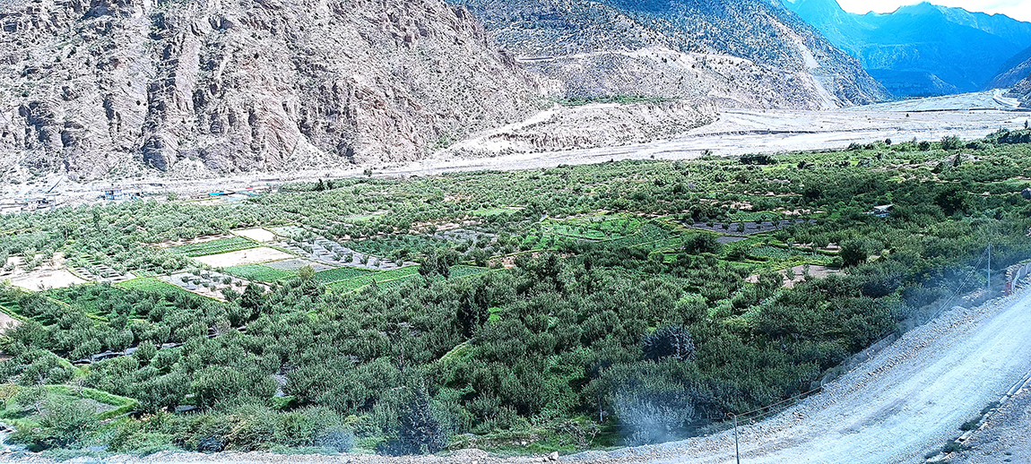 आजका तस्बिर-असार ११