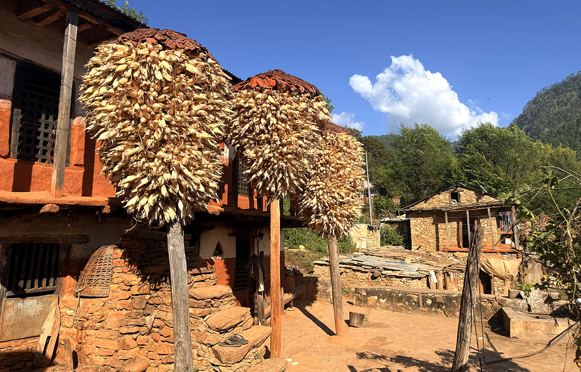 आजका तस्बिर- असोज २७