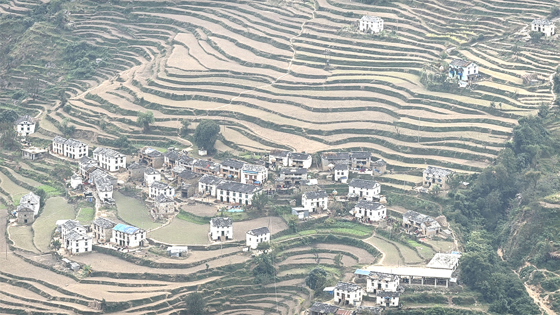 आजका तस्बिर- कात्तिक १९