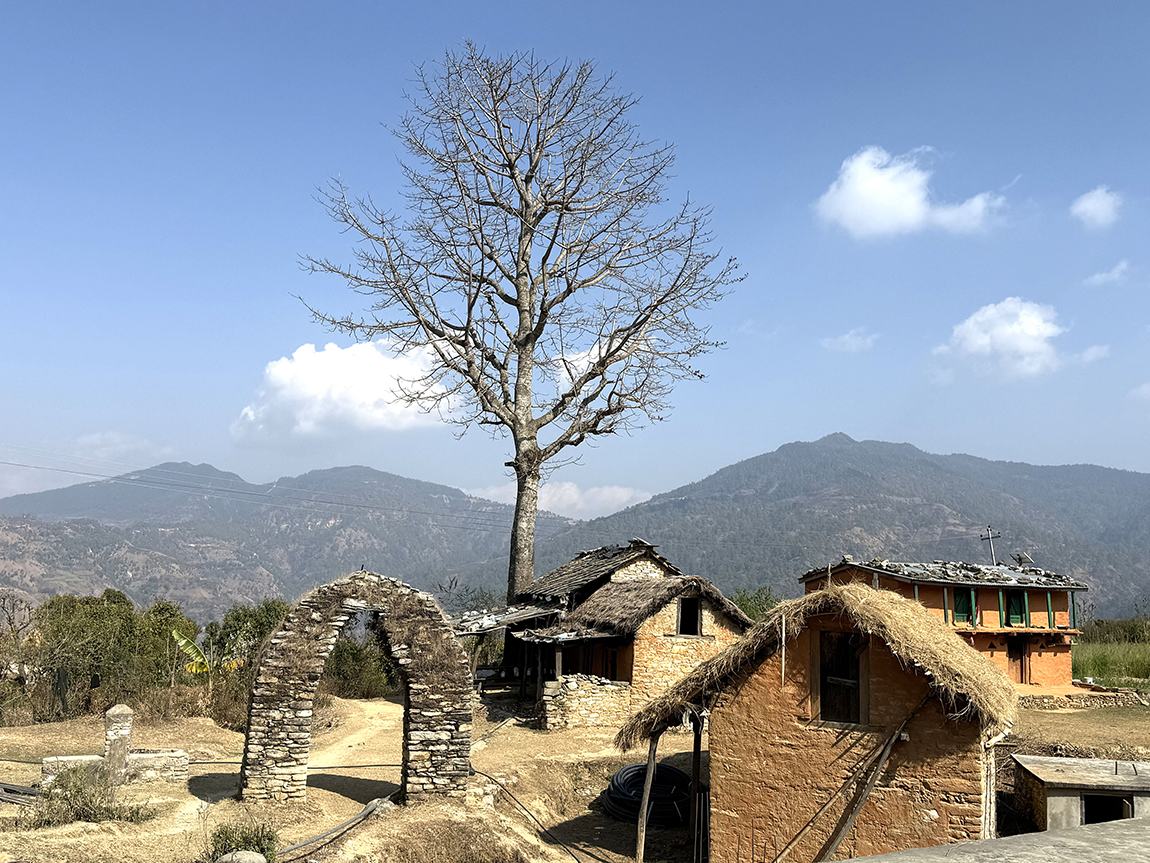 आजका तस्बिर- असार २३