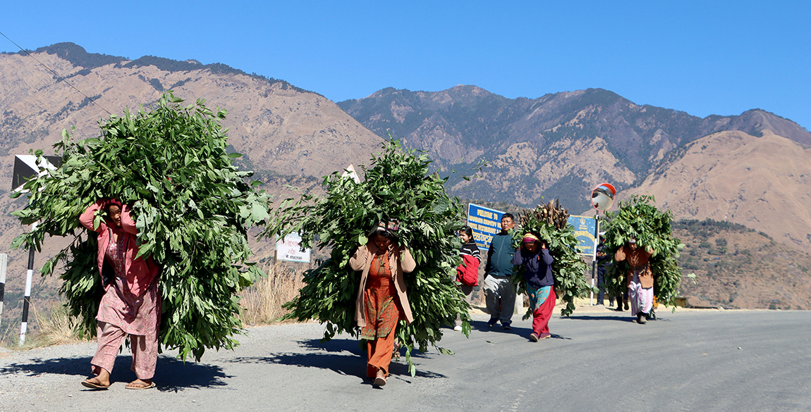 आजका तस्बिर- माघ १९