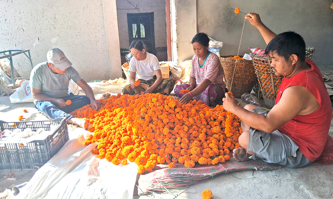 आजका तस्बिर- असोज ११
