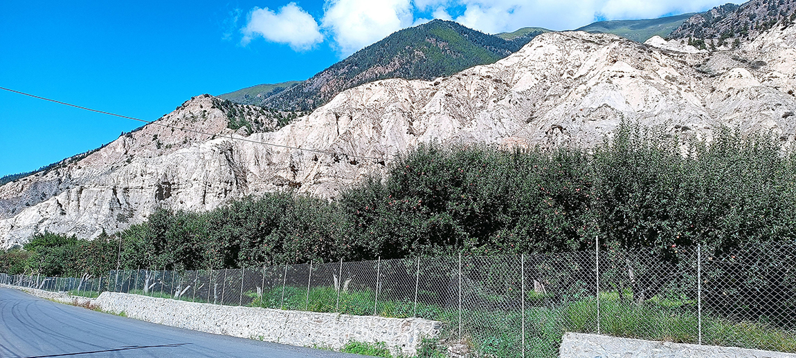 आजका तस्बिर- साउन २२