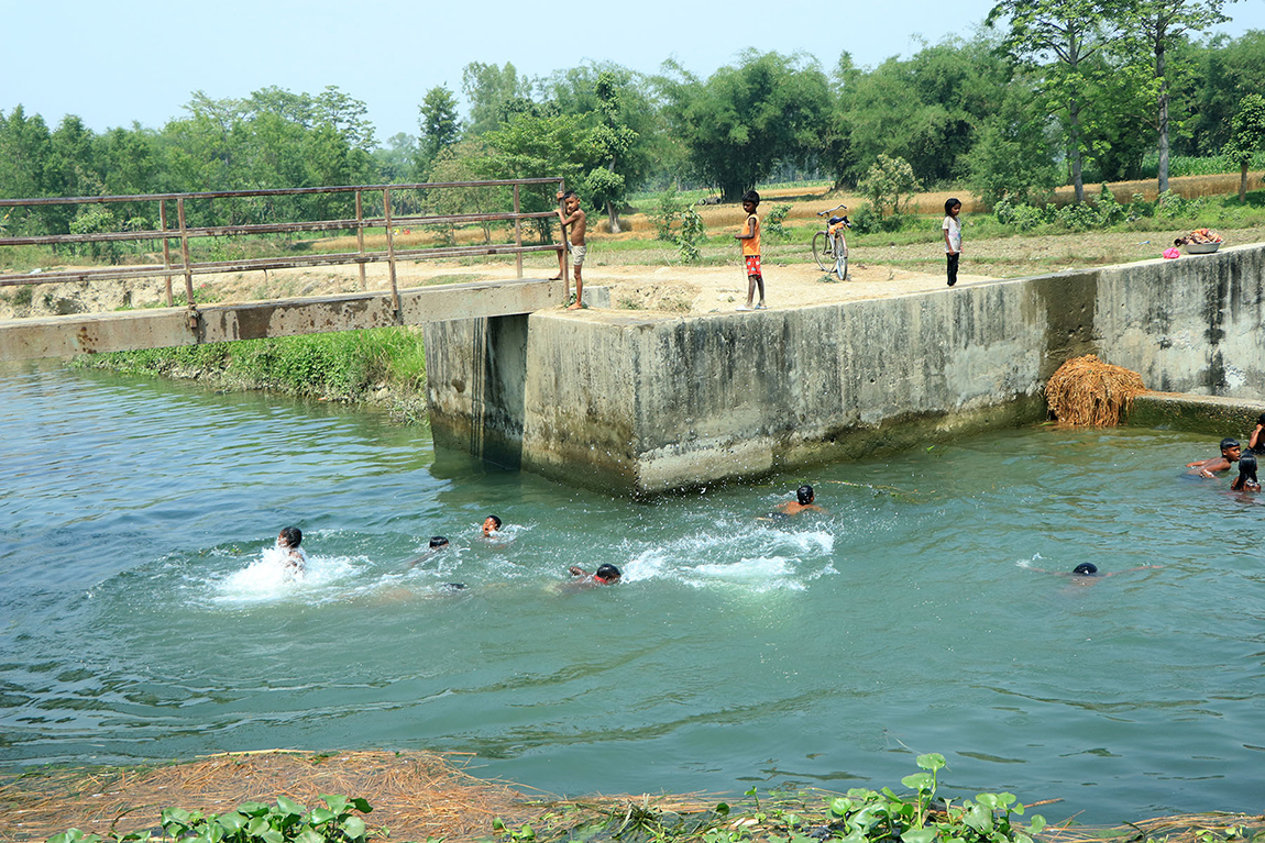 आजका तस्बिर- वैशाख ८