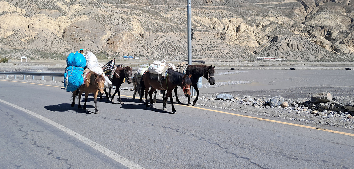 आजका तस्बिर- असोज ४
