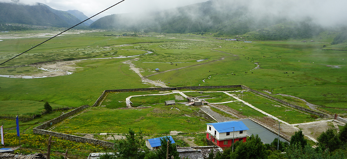 आजका तस्बिर- साउन २८