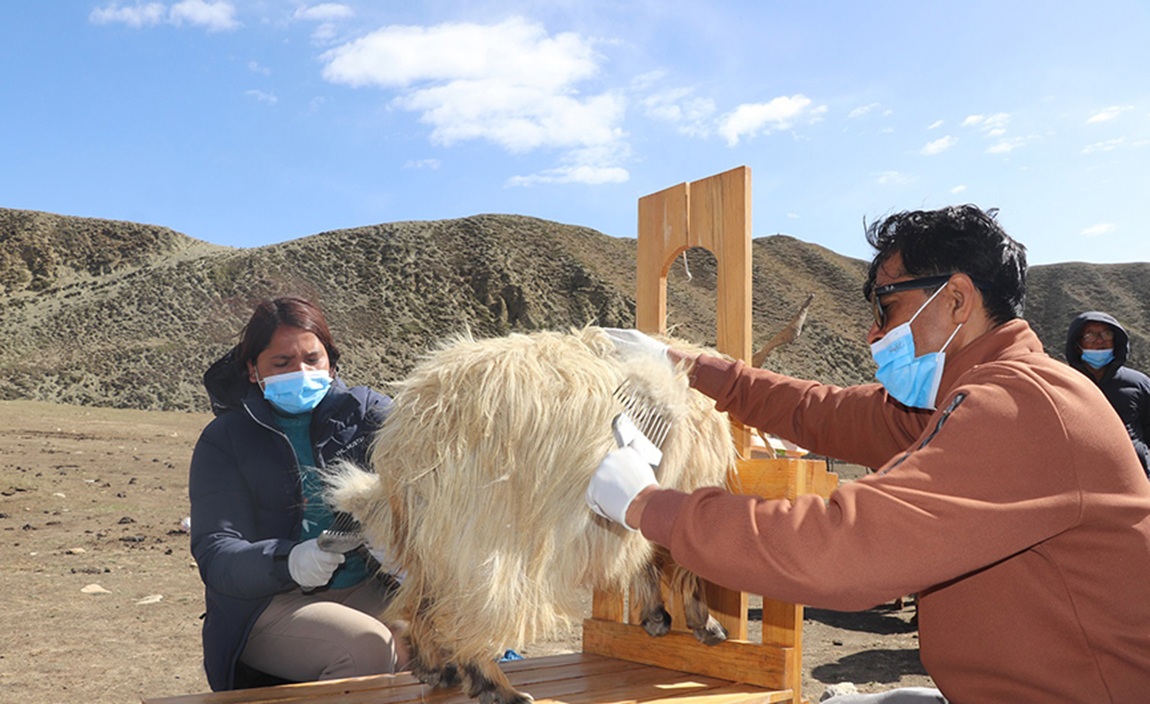 आजका तस्बिर- जेठ २५