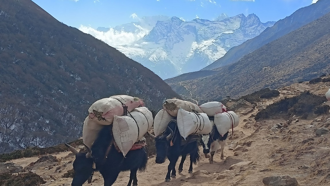 आजका तस्बिर- फागुन २७