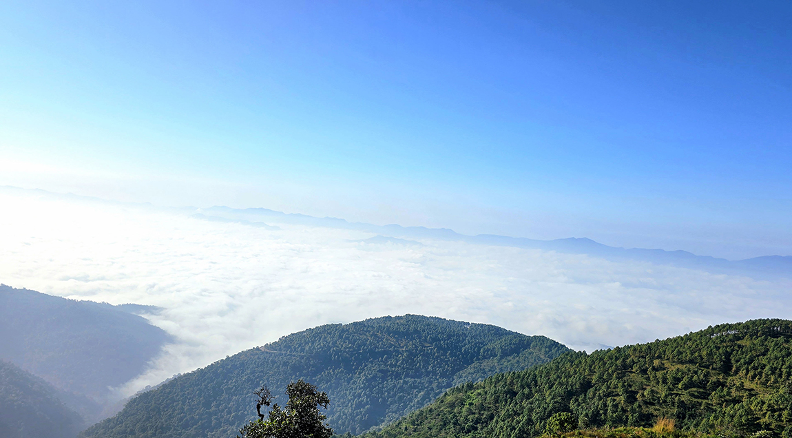 आजका तस्बिर- कात्तिक १९