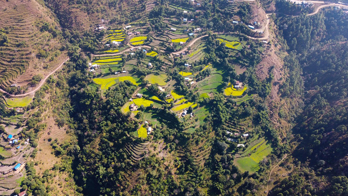 आजका तस्बिर- मंसिर ५