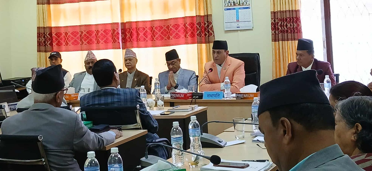 तस्बिर: सेतोपाटी।