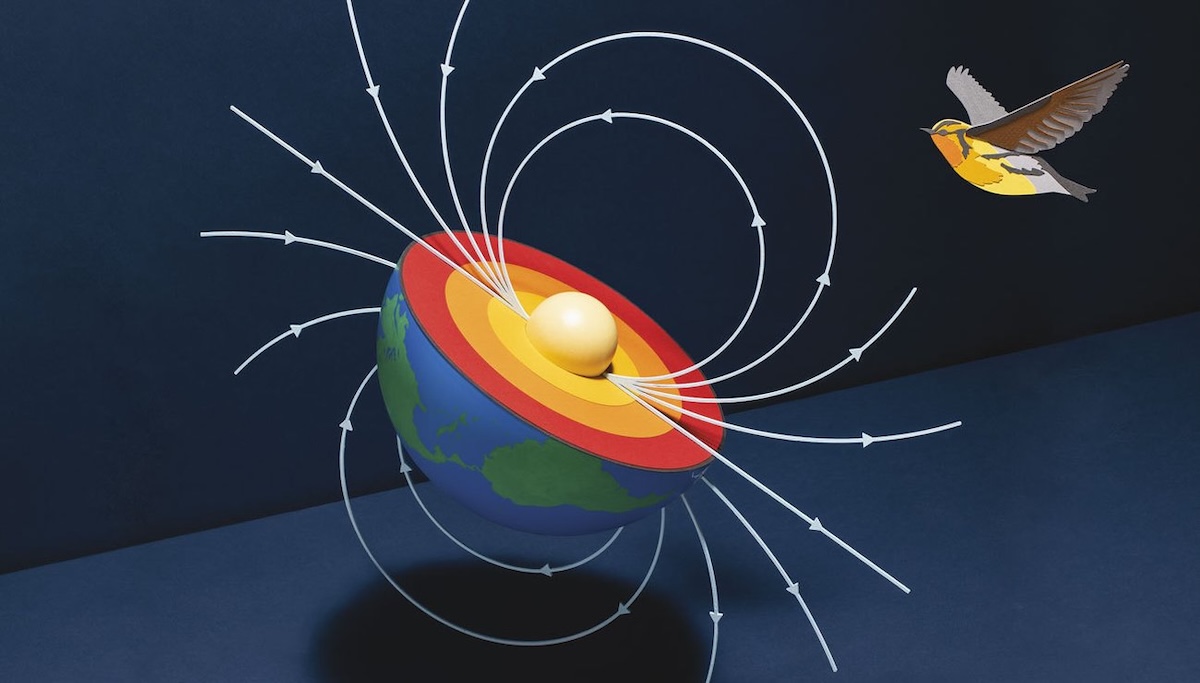 Photo credit - Kyle Bean (Scientific American)