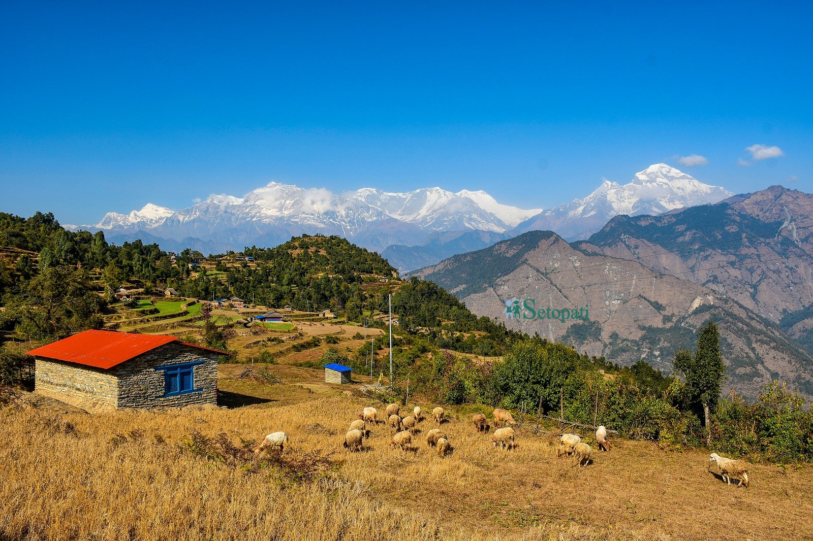 म्याग्दीको मंगला गाउँपालिका–५, चाङ्गा खर्कबाट देखिएको गुर्जा, चुरेन र धौलागिरि हिमशृङ्खला। तस्बिरः अमृत भादगाउँले 