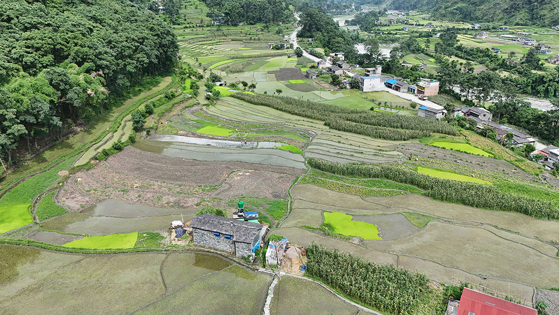 आजका तस्बिर- असार १७