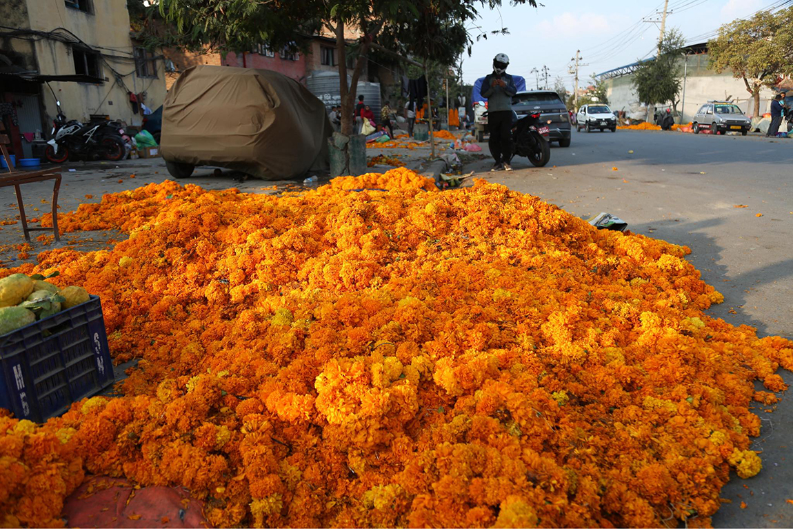 आजका तस्बिर- कात्तिक २७