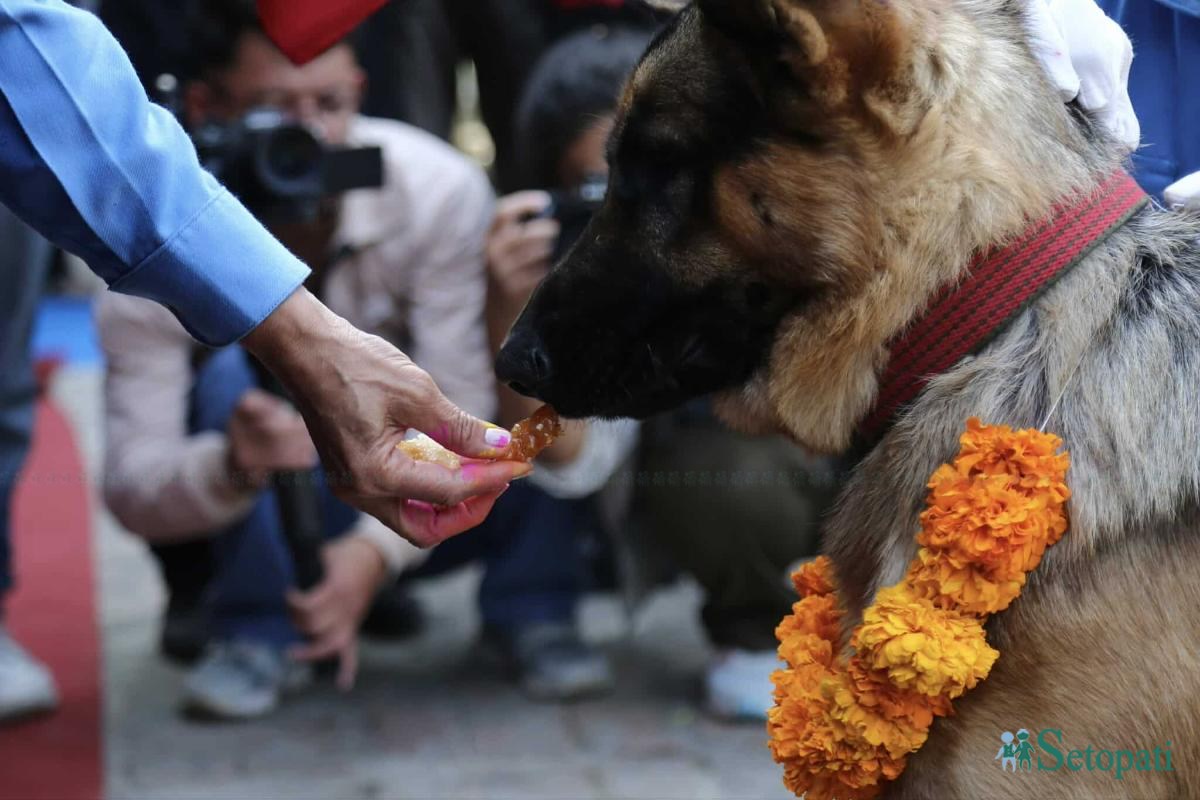 फाइल तस्बिर।