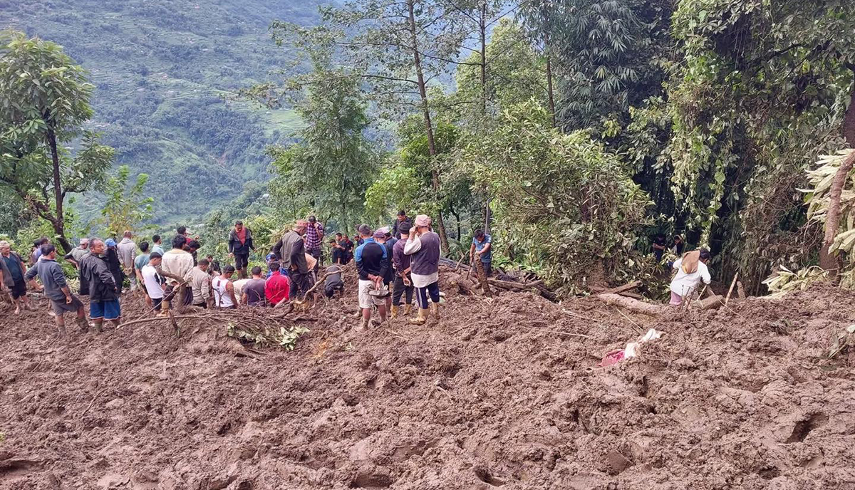 तस्बिर स्रोत: सामाजिक सञ्जाल।