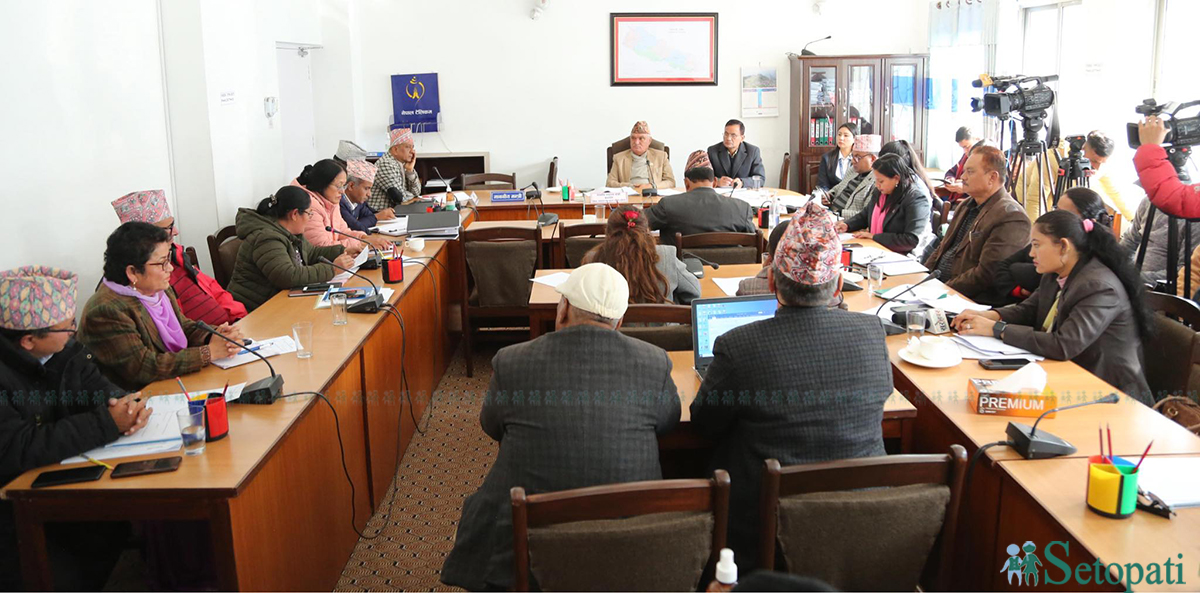तस्बिर: नवीनबाबु गुरूङ/सेतोपाटी