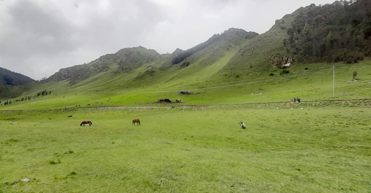 आजका तस्बिर- साउन १३