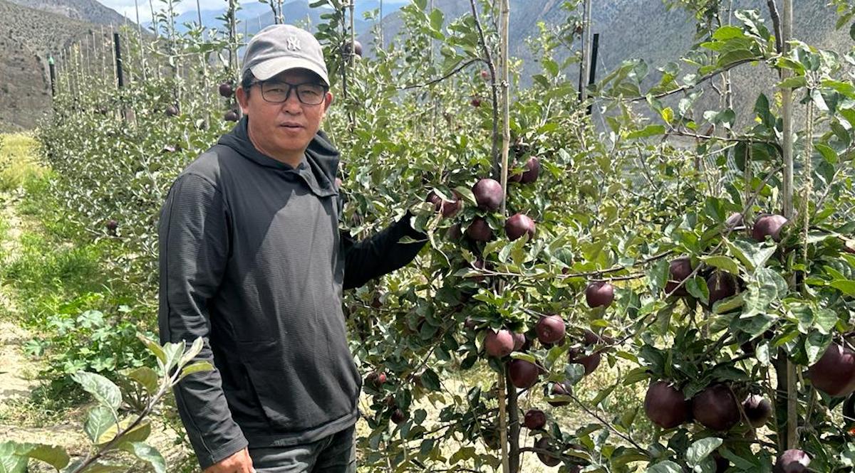 स्याउ बारीमा कर्मा